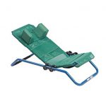 Dolphin Bath Chair