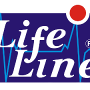 Chrome Elevating Wheelchair With Safety Belt